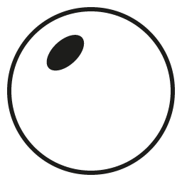Standard Sun Lens